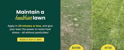 Proves the product's effectiveness by showing a real lawn transforming from patchy and brown to thick and green within 8-21 days. Reassures shoppers the product is quick to apply and free of…