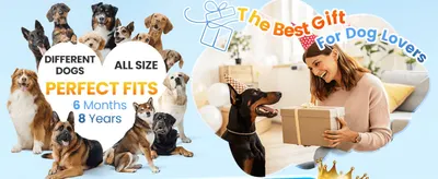 Frames the product as a thoughtful gift for dog owners to prompt a purchase for someone else. Reassures shoppers the device works for dogs of any size or age, from 6 months to 8 years.