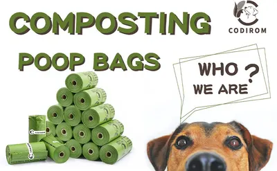 Showcases the product (compostable poop bags) to clearly show shoppers what they will receive. Introduces the Codirom brand and its eco-friendly dog waste bag product to build brand awareness.