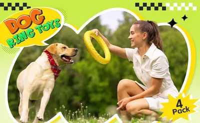 Shows the product being used in a real-world outdoor setting with a dog to help shoppers envision how the toy works during play and bonding moments.