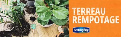 Identifies the Fertiligene brand and introduces the Terreau Rempotage potting soil line with a clean branded banner to build recognition and trust. Shows the potting mix in a real repotting setting…