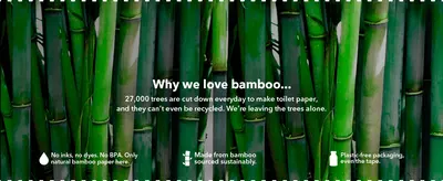 Communicates the brand's commitment to sustainability and eco-friendly practices by highlighting the benefits of using bamboo over traditional paper products. Provides a quantifiable statistic about…