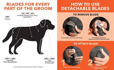 Shows which blade length to use on each part of a dog including sanitary, full body, paw pads, and feet so shoppers can match the right blade to each grooming zone. Walks shoppers through the simple…