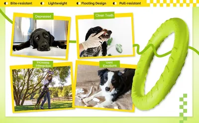 Showcases multiple benefits of the dog chew toy in a visually segmented layout, including emotional benefits for dogs and dental health advantages, helping shoppers understand the comprehensive…