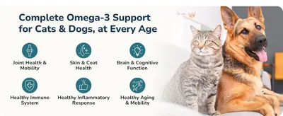 Shows six distinct omega-3 benefits in an icon grid so shoppers quickly see the full range of support for cats and dogs at every age. Pairs a relaxed cat and dog photo to help shoppers picture the…