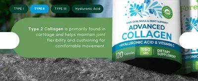 Highlights Type 2 Collagen and explains its specific benefit for joint flexibility and cushioning to help shoppers understand its targeted health application.