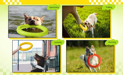 Demonstrates multiple ways the product can be used across different activities and environments, showing versatility and encouraging shoppers to envision various play scenarios with their pets.