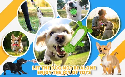 Demonstrates various ways dogs can enjoy the toy product across different settings and play styles, showing versatility and broad appeal to pet owners. Communicates the brand's emotional message and…