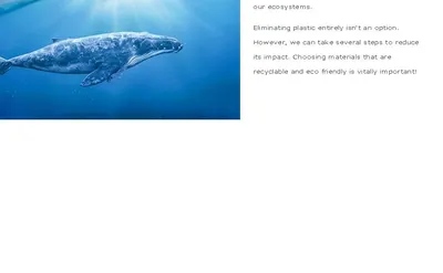 Shows the brand cares about ocean and ecosystem health and commits to reducing plastic impact by choosing recyclable and eco friendly materials.