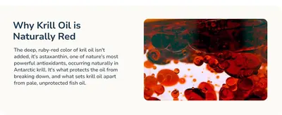 Explains that the deep red color is natural astaxanthin rather than an additive, signaling a potent antioxidant that protects the oil and sets it apart from pale fish oil.