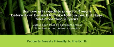 Highlights multiple environmental benefits of using bamboo for toilet paper production compared to trees, emphasizing sustainability and forest protection.