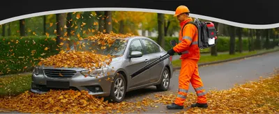 Demonstrates the product's effectiveness for clearing autumn leaves from vehicles, showing a practical seasonal application scenario.