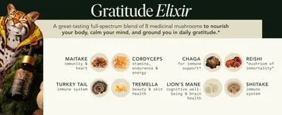 Breaks down the 8 medicinal mushrooms in the Gratitude Elixir and their individual health benefits to help shoppers understand the full-spectrum formula.