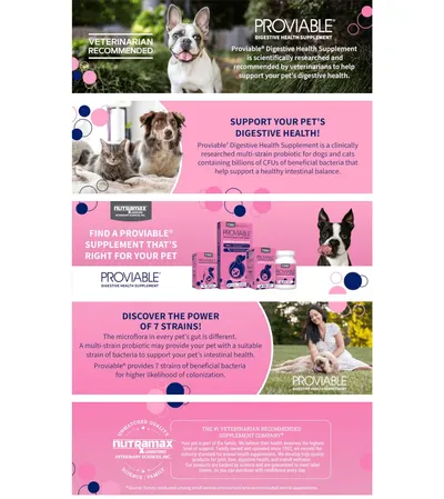 Premium A+ Content for Amazon.com : Nutramax Laboratories 30 Count Proviable Health Supplement for Cats and…