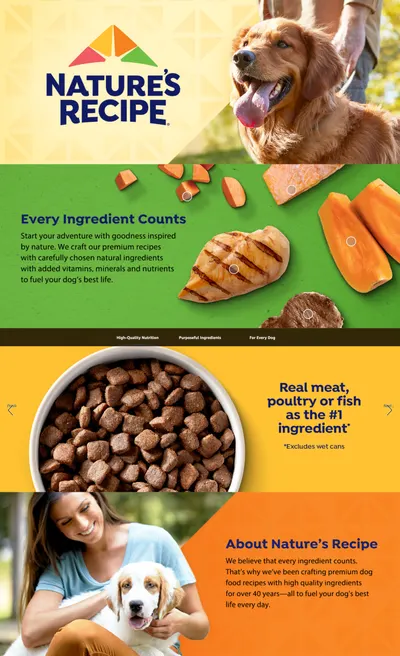 Premium A+ Content for Amazon.com: Nature’s Recipe Grain Free Salmon