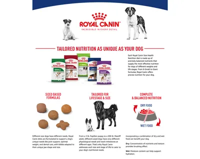 Premium A+ Content for Amazon.com: Royal Canin Size Health Nutrition Small Adult Dry Dog Food