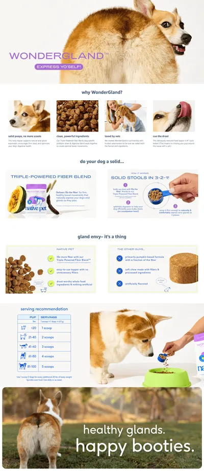 Premium A+ Content for Amazon.com : Native Pet WonderGland