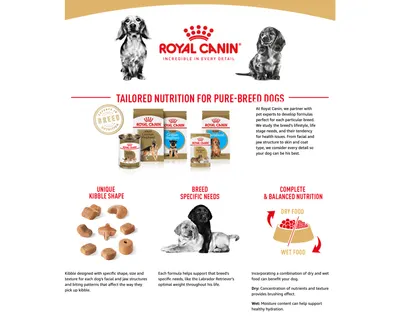 Premium A+ Content for Amazon.com: Royal Canin Golden Retriever Adult Dry Dog Food
