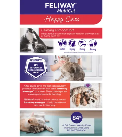 Premium A+ Content for Amazon.com : FELIWAY® MultiCat 3 x 30 Day Cat Calming Refills for Pheromone Diffuser