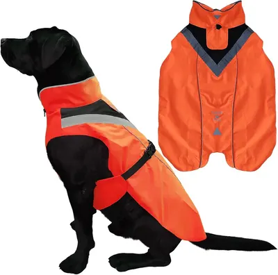 Main Images for Lautus Pets Dog Rain Coat