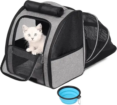 Main Images for SUPERBE Cat Backpack Carrier