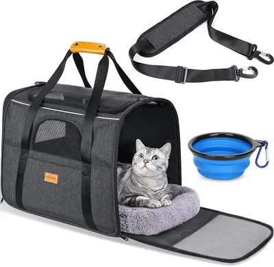 Main Images for Morpilot Cat Carrier Airline Approved Pet Carrier Portable Dog Hand Bag Breathable Small…