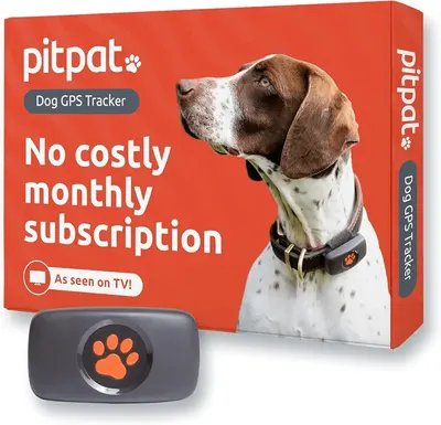 Main Images for PitPat Dog GPS Tracker