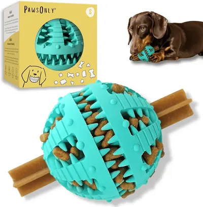 Main Images for PawsOnly