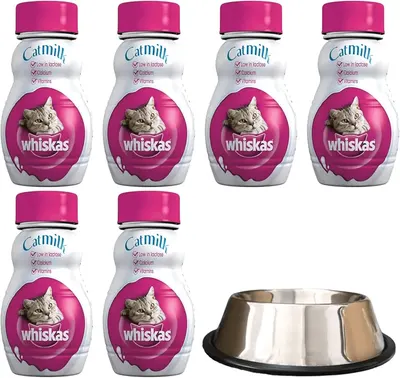 Main Images for Cat Milk 6 x 200ml bundled with Slip-proof Cat Bowl with Imprint