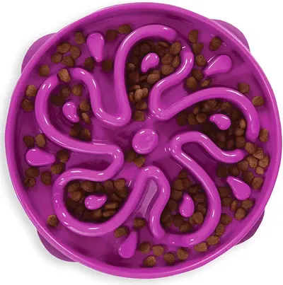 Main Images for Outward Hound Slow Feeder Dog Bowl