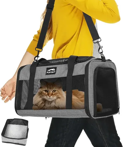 Main Images for Dog Cat Carrier Soft Pet Carrier for Small Medium Cats