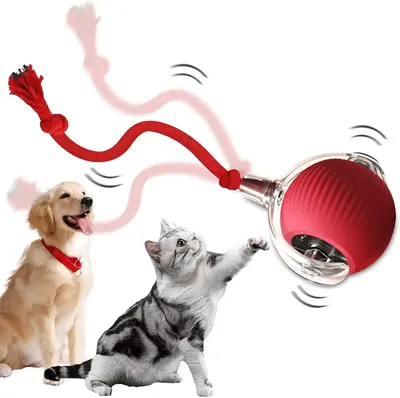Main Images for LuGirlre Cat Ball Toy 2025 Upgraded Interactive