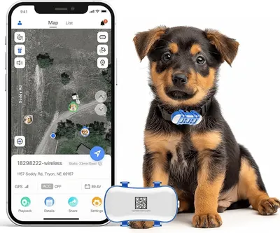 Main Images for GPS Pet Tracker GPS Dog Tracker 4G Live Satellite Tracking