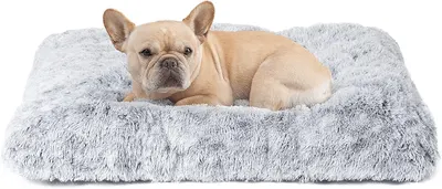 Main Images for EHEYCIGA Calming Dog Bed Medium