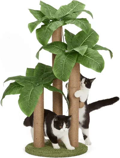 Main Images for 31.5Inch Cat Scratching Post