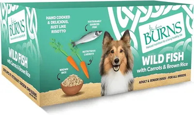 Main Images for Burns Pet Natural Nutrition Adult & Senior Wet Dog Food Wild Fish