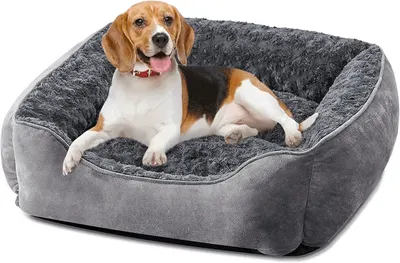 Main Images for JOEJOY Dog Bed Medium