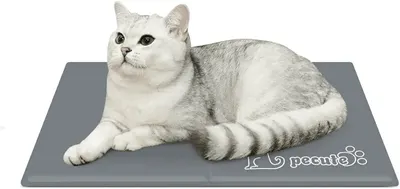 Main Images for pecute Dog Cooling Mat XS 40×30cm