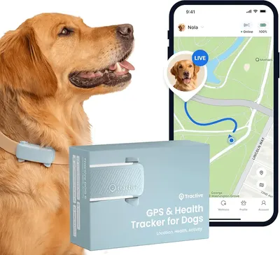 Main Images for Tractive GPS Dog Tracker
