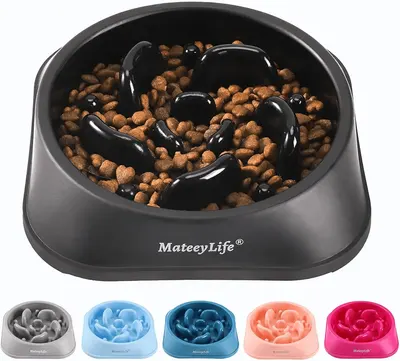 Main Images for MateeyLife Dog Bowls