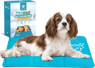 Main Images for Dog Cooling Mat