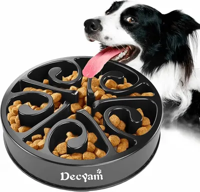 Main Images for Decyam Slow Feeder Dog Bowl Slow Eating Dog Bowl Pet Puppy Fun Puzzle Feeder Non Skid…