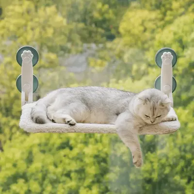 Main Images for MEWOOFUN Cat Window Bed Hammock for Indoor Cats