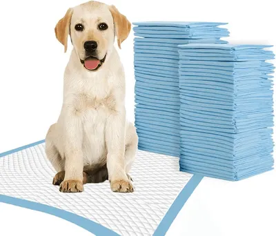 Main Images for TBM Puppy Pads Large Size Pack of 50 60 x 60 Super Absorbent Puppy Training Pads Anti…
