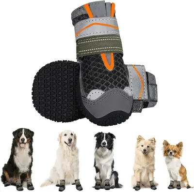 Main Images for Eyein Dog Boots Paw Protector