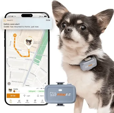 Main Images for Pawfit Lite for Small Dogs 4g GPS Tracker
