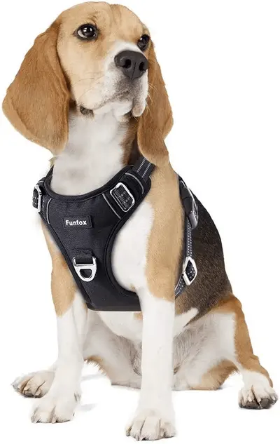 Main Images for Funfox Dog Harness Medium No Pull