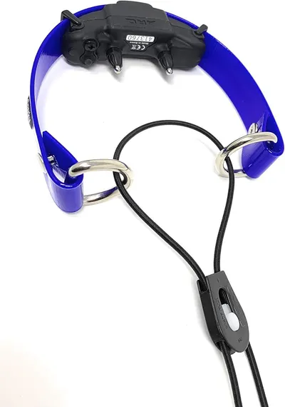 Shows the complete dog training collar system including the collar strap with metal rings and the electronic receiver unit with charging cable, allowing shoppers to see all components included in…