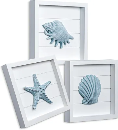 Shows shoppers the three different seashell designs available for purchase, helping them choose their preferred style.