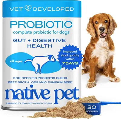 Shows the core product (probiotic supplement canister) with its scoop and powder to communicate what the shopper is purchasing and its primary benefit for dog digestive health. Uses added visual…